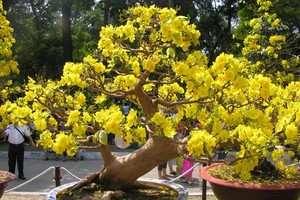 （示意圖源：互聯網）