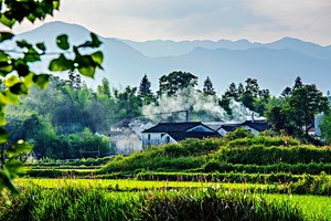 （示意圖源：互聯網）