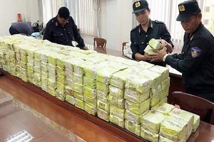 本市公安力量去年破獲一起特大跨境販運毒品案，繳獲毒品300公斤。（圖源：警方提供）