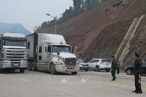 停滯在新清口岸附近等候通關的農產品集裝箱運輸車。（圖源：越通社）