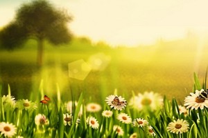 （示意圖源：互聯網）