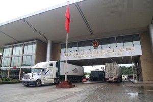 老街省口岸貿易活躍起來。（圖源：老街報）