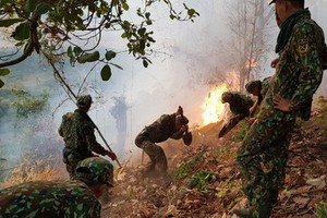 當地駐軍部隊參加滅火救援。（圖源：寶斗）