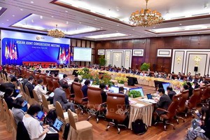 東盟聯合磋商會現場一瞥。（圖源：越通社）