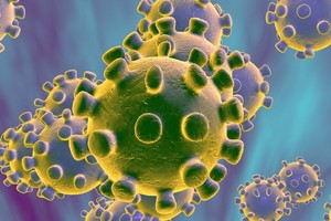 （示意圖源：互聯網）