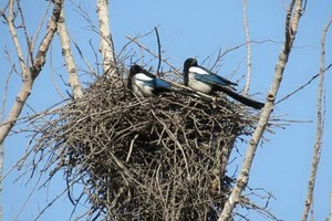 （示意圖源：互聯網）