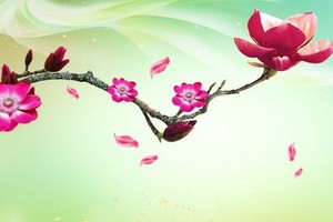 （示意圖源：互聯網）