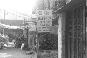 公寓庭院成為廢料存放場。