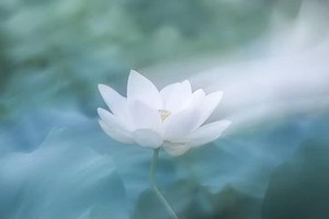 （示意圖源：互聯網）