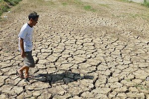 九龍江平原區域乾旱情況日益嚴重。（圖源：玲芳）