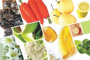 （示意圖源：互聯網）