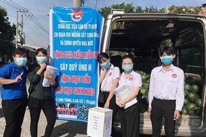 市幹部學院一組學生“拯救”西瓜。