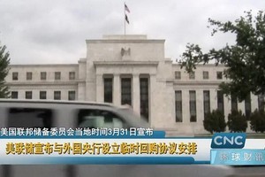 （圖源：視頻截圖）