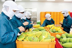 農業與農村發展部：今年第一季度，農產品出口額達90億6000萬美元，進口額達62億美元。（示意圖源：互聯網）