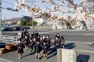 戴口罩上學的小學生。（圖源：共同社）