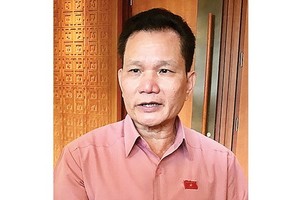 國會各社會問題委員會副主任裴仕利。