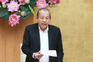黨中央政治局委員、政府常務副總理、896指委會主任張和平。（圖源：VGP）