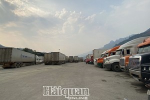 上百輛運載農產品的集裝箱大貨車在越中邊境口岸附近滯留等待通關。（圖源：海關在線）