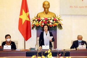 國會主席阮氏金銀（中）在會議上發言。（圖源：越通社）