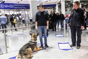 （示意圖源：互聯網）