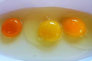 喝生雞蛋能預防新冠肺炎一消息純屬謠言。（示意圖源：互聯網）