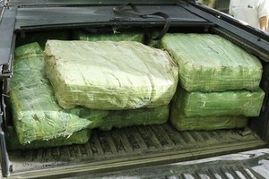 皮卡車上運毒被查獲，總重量達307公斤。（圖源：警方提供）