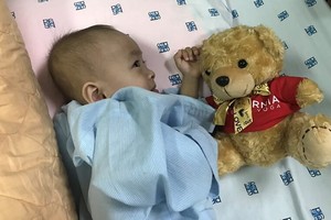 寓居芹苴市的明善(兩歲)是獲FLG集團贊助施手術經費的首名病童。