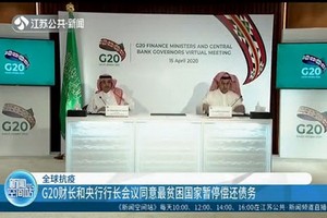 G20 同意最貧困國家暫停償還債務。（圖源：視頻截圖）