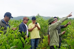 企業給GreenViet資助培訓組織工作經費，為保存生態環境作努力。