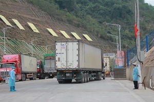 越中邊境口岸貨車川流不息。圖為多輛貨車經新清口岸通關後駛往中方口岸。（圖源：光維）