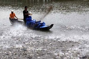 （示意圖源：互聯網）