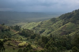 襲擊事件發生在北基伍省維龍加國家公園。（圖源：AFP）