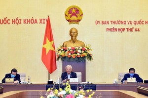 國會副主席汪周琉（中）主持會議。（圖源：越通社）