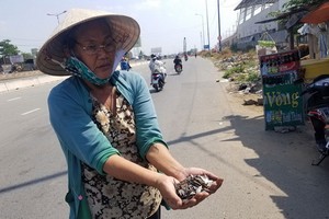 四姑在新東區車站門前拾到大量自製釘子。