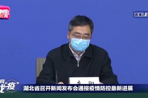 湖北省疾病預防控制中心副主任李陽。（圖源：視頻截圖）