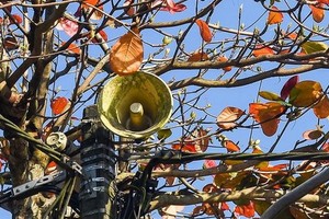 （示意圖源：互聯網）