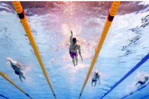 游泳比賽。（圖源：互聯網）