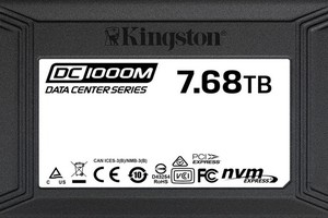 Kingston推出DC 1000M