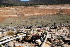 寧順省開始乾枯的田野。（圖源：文福）