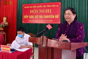 國會常務副主席從氏放在接觸會上回答選民的質詢。（圖源：越通社）