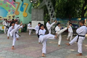 第五郡跆拳道俱樂部已恢復活動。