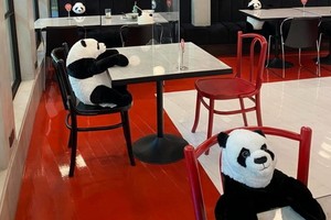 熊貓玩偶坐在客人對面，恍如懂得聆聽他人心事。（圖源：互聯網）