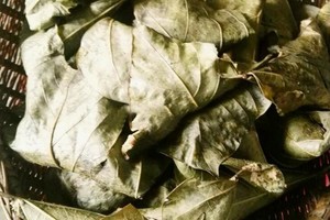 （示意圖源：互聯網）