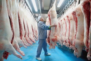 （示意圖源：互聯網）