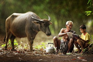 （示意圖源：互聯網）