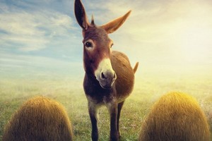 （示意圖源：互聯網）