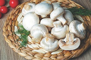 （示意圖源：互聯網）