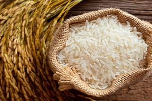 稻米價格穩定。（示意圖源：互聯網）