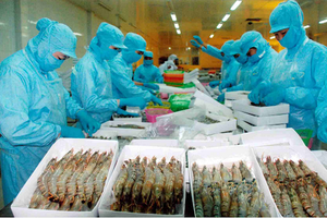 （示意圖源：互聯網）