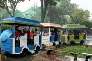 不少家庭帶著小孩去動物園參觀。（圖源：阮智）